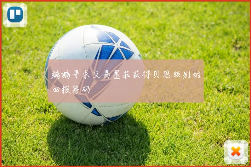 鹈鹕寻求交易墨菲获得贝恩级别的回报筹码